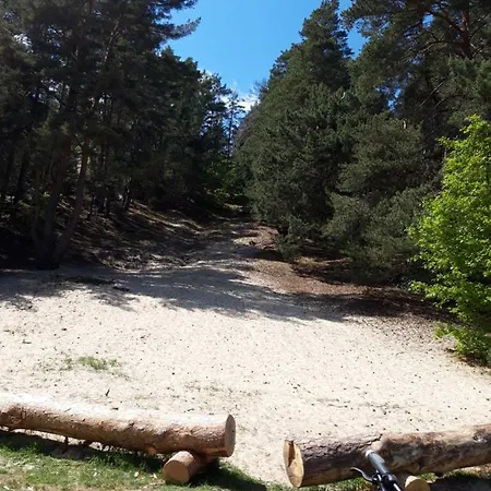 Hotel Zum Sportforum Blankenburg (Harz)