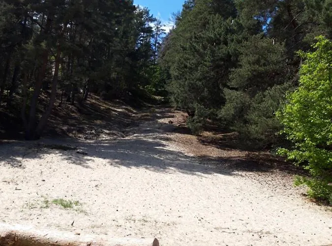 Hotel Zum Sportforum Blankenburg (Harz)